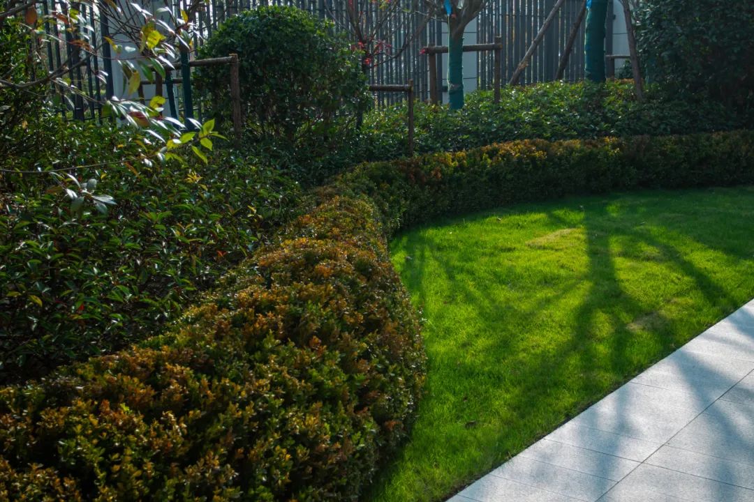 开封亚新·橄榄公馆丨中国开封丨东篱环境-26