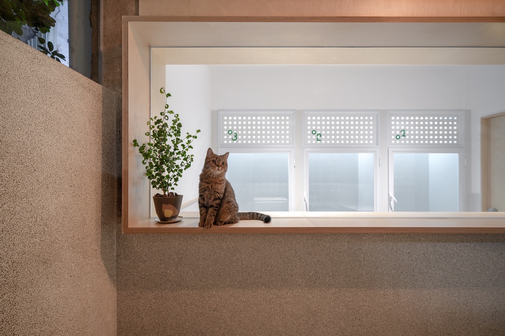 gogoland丨中国惠州丨Informal异规设计-54