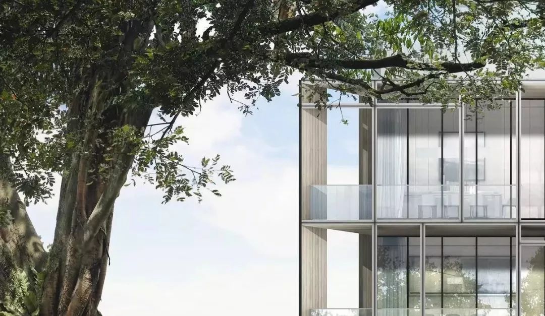 凤栖雲庐 | 你拥有的视界，决定你的世界-6