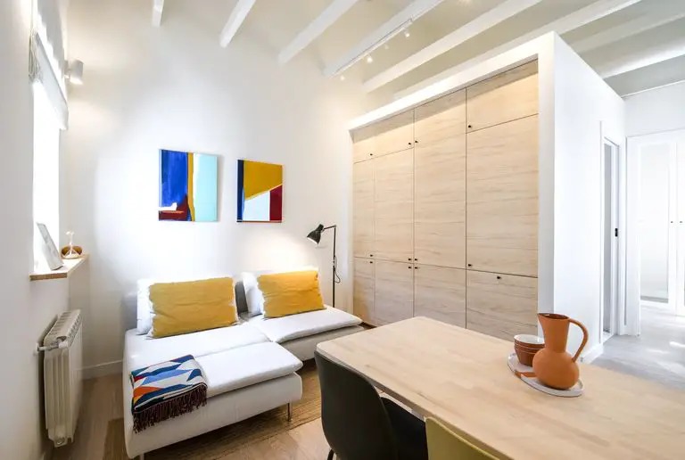 马德里 29m2 翻新公寓,展现极致空间利用-3