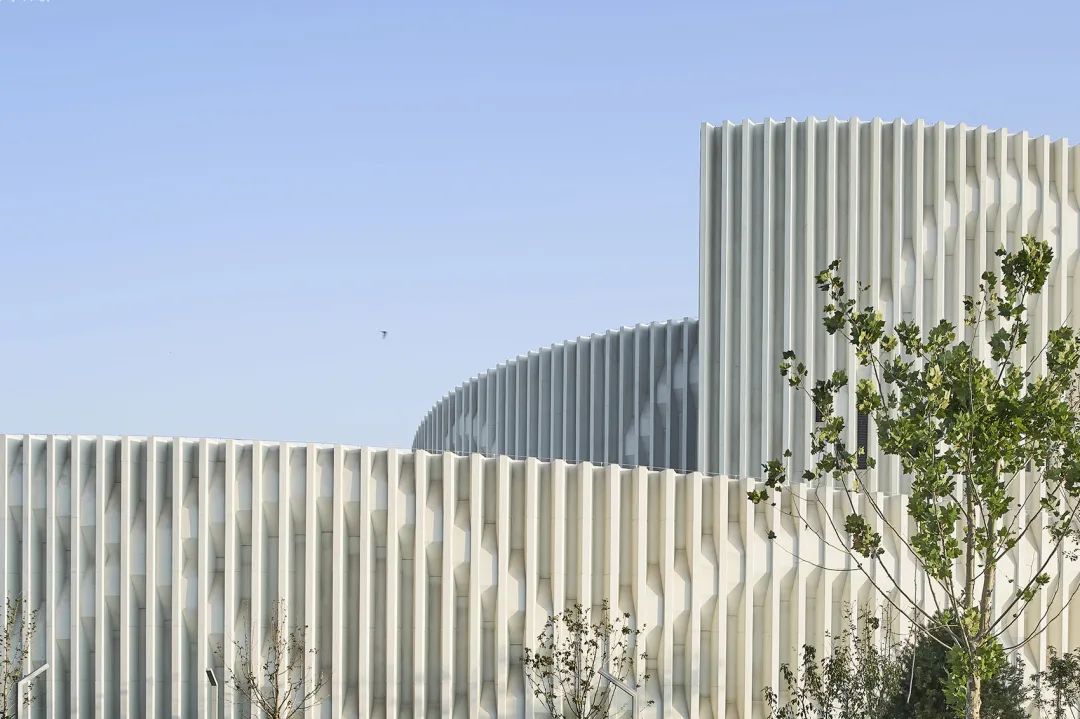 山东第一医科大学济南校区医学博物馆丨中国济南丨天津大学设计总院·顾志宏工作室-22