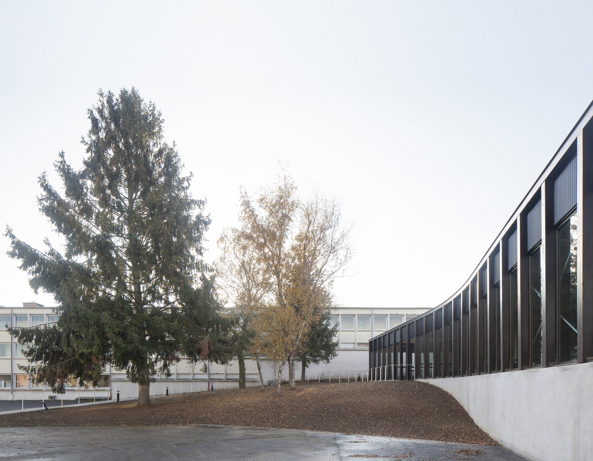 School Cafeteria and Multipurpose Room  / LT2A-33