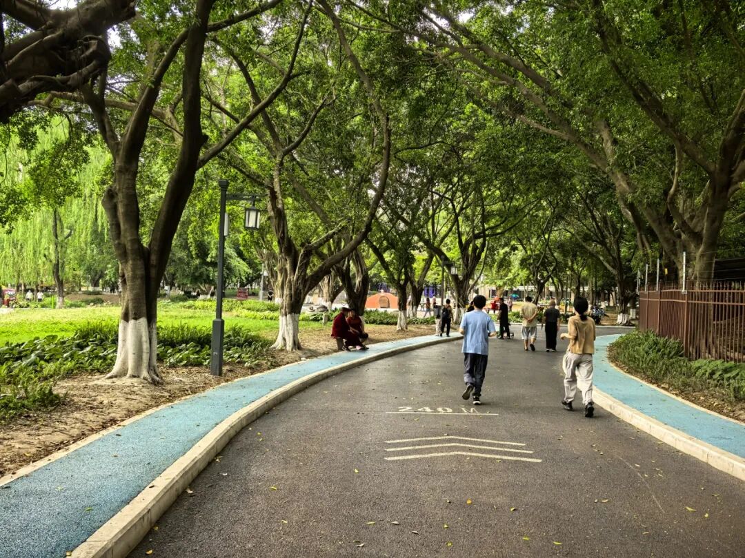 打卡城市“金角银边”丨市建筑院设计“微更新”，老公园也能“逆生长”-20