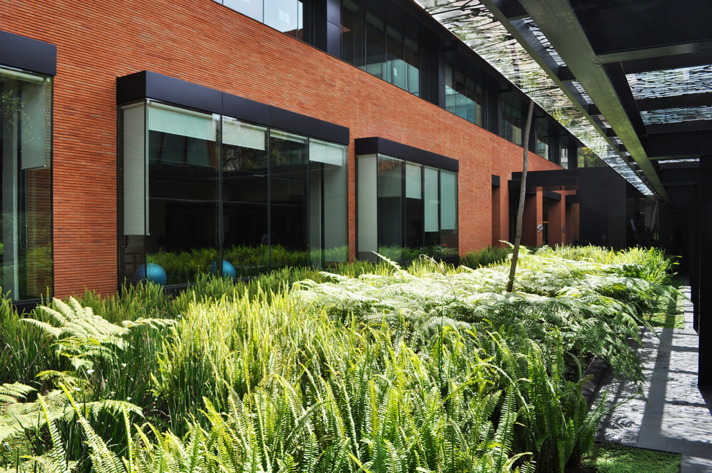 Coyoacán公司校园-29