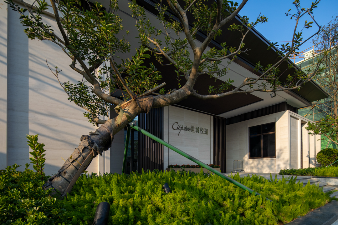 东莞世城·悦湖花园丨中国东莞丨PTLA 柏涛景观-53