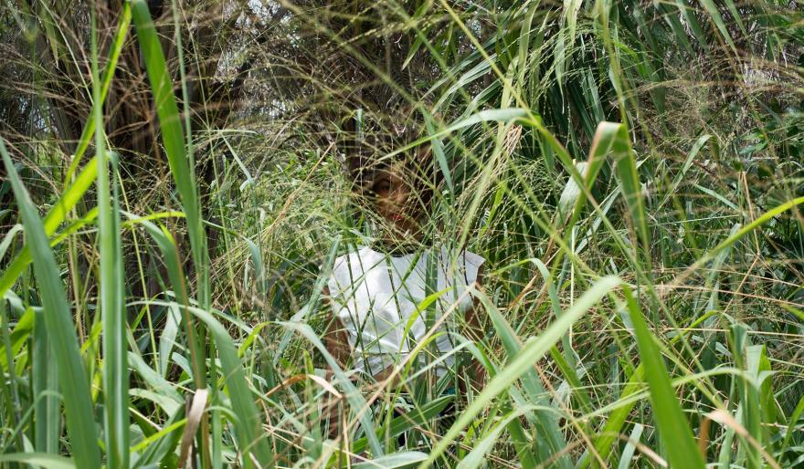 疫情下的非洲艺术 | 五位艺术家用创作战胜挑战-2