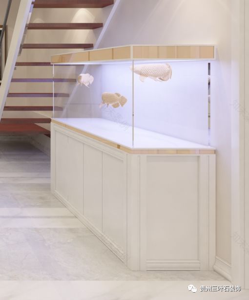 2019 年鱼缸摆放与风水禁忌指南-12