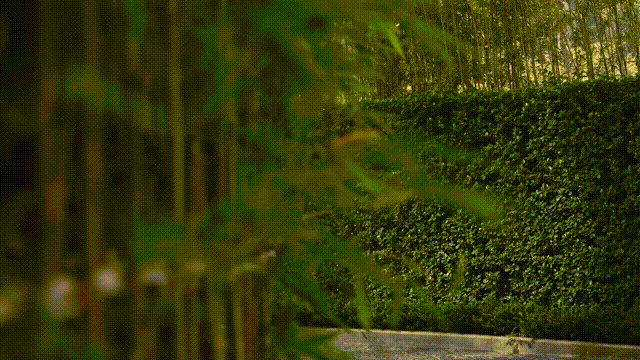 深圳宝安京基华邑酒店民宿酒店设计丨中国深圳-56