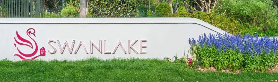 唤醒自然，天鹅重现—城市里的治愈系游园|园科作品-60