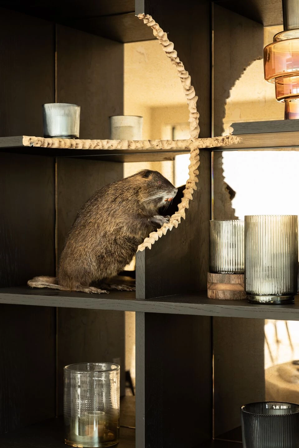 猎境奢华 | 比利时 Château de Vignée 酒店设计-34