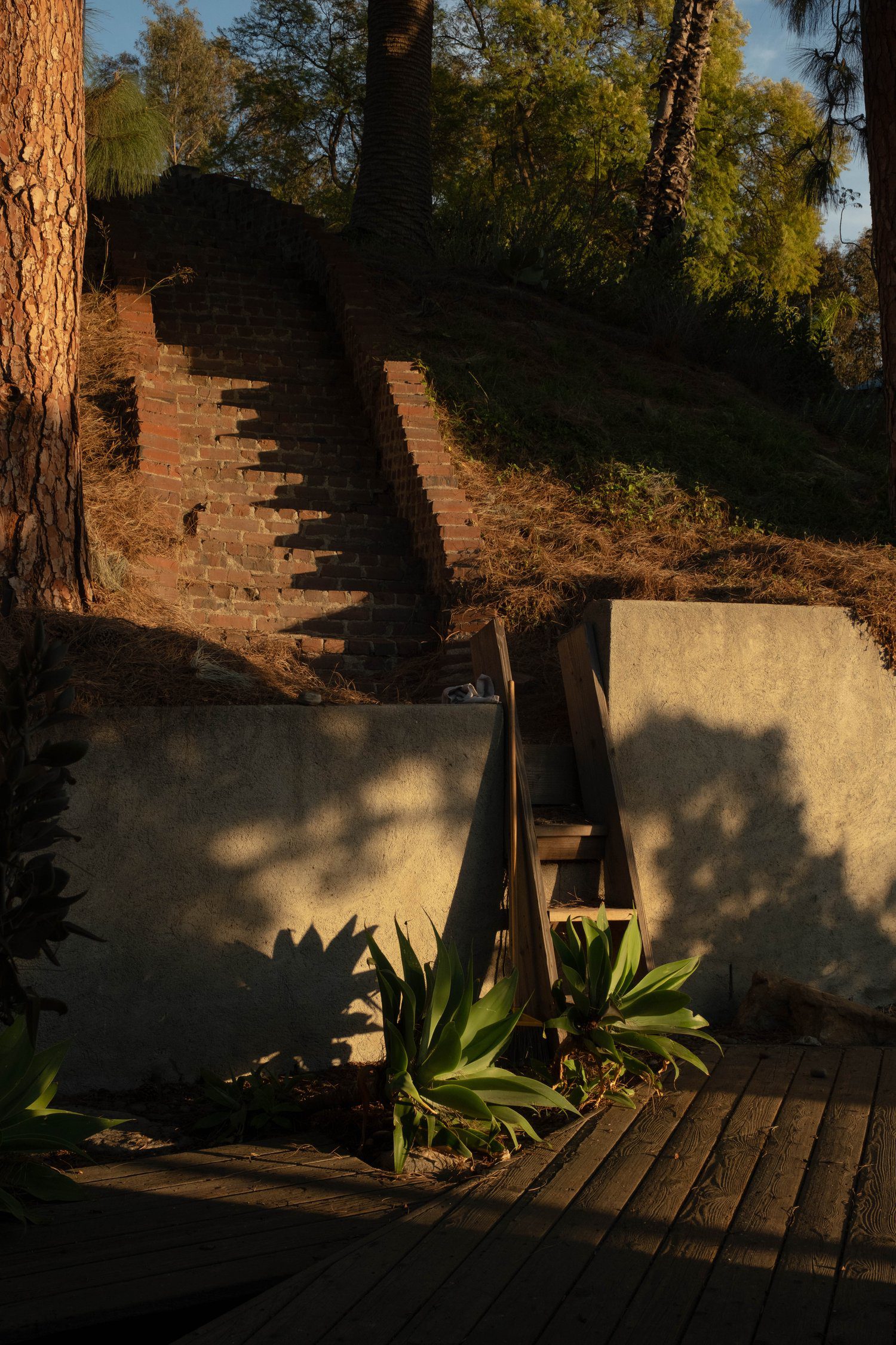 乡村自建房室内丨美国洛杉矶丨鲁道夫·辛德勒-5