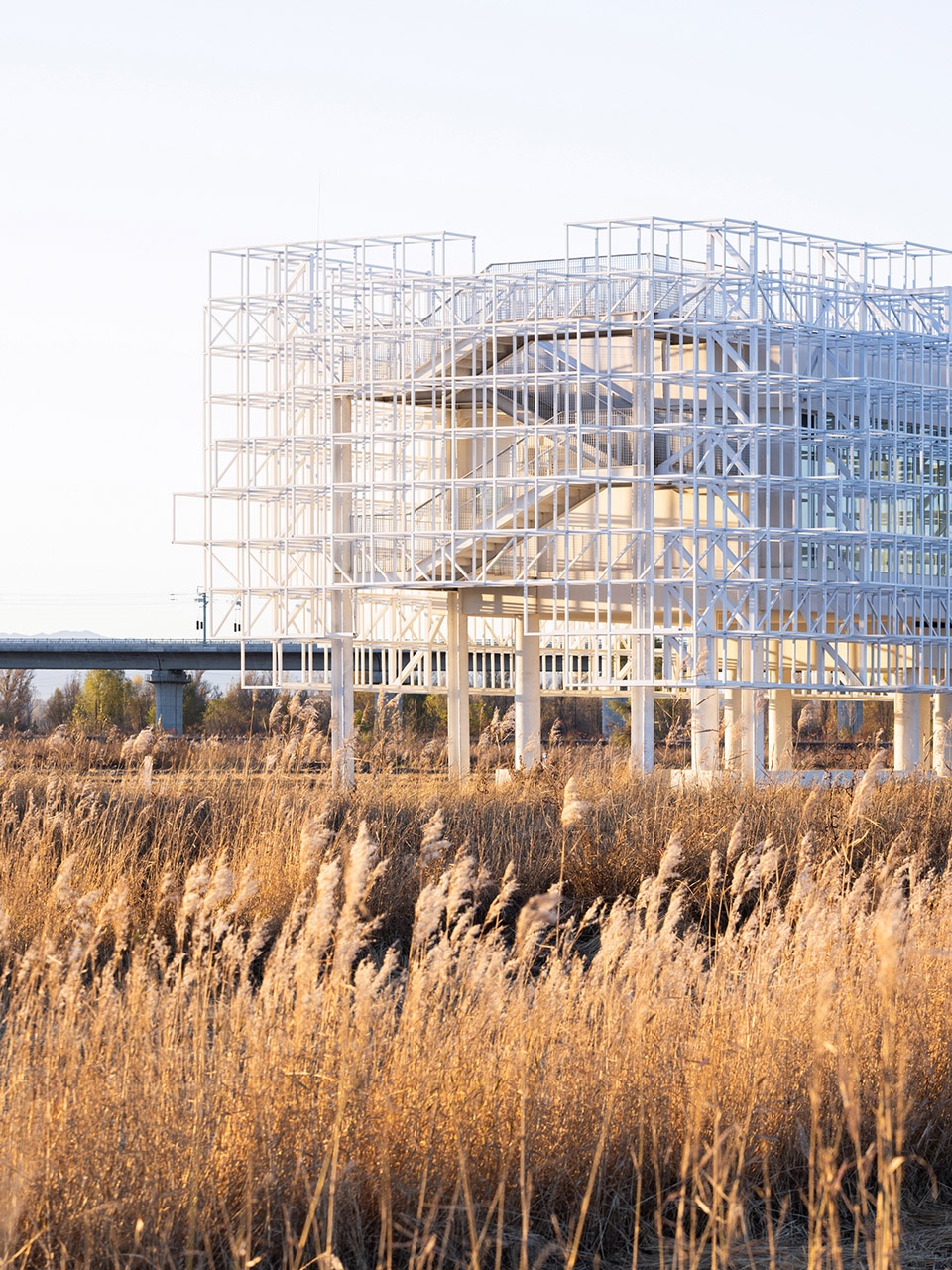 张北海市丨中国河北丨BUZZ庄子玉工作室-14