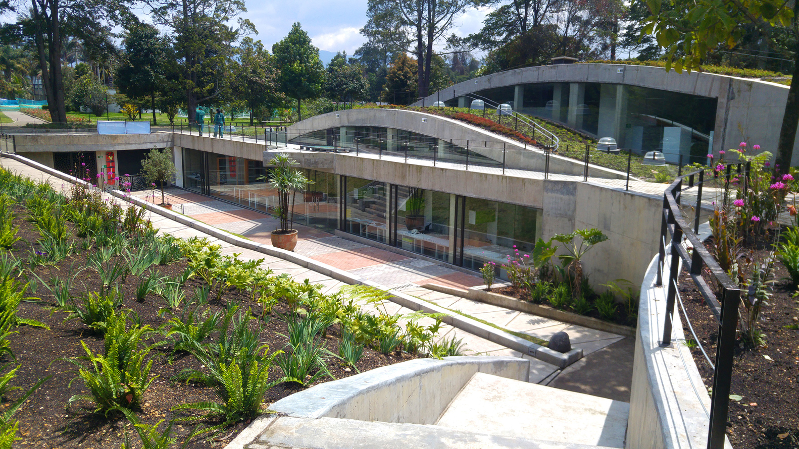 波哥大植物园植物标本馆-60