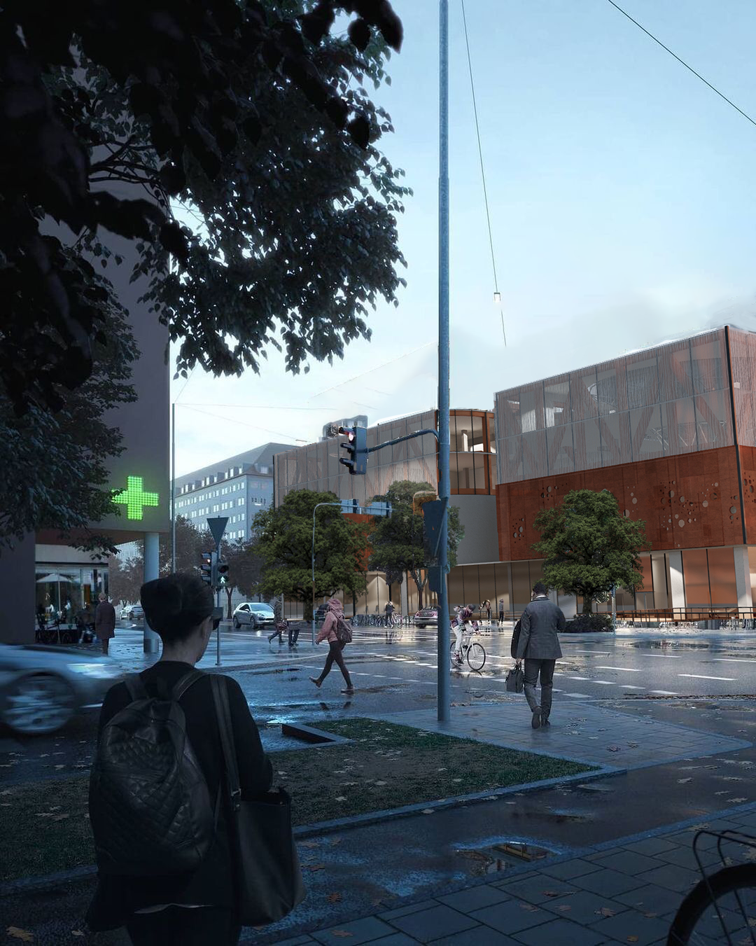 psychosocial hub（心理社会中心）-33