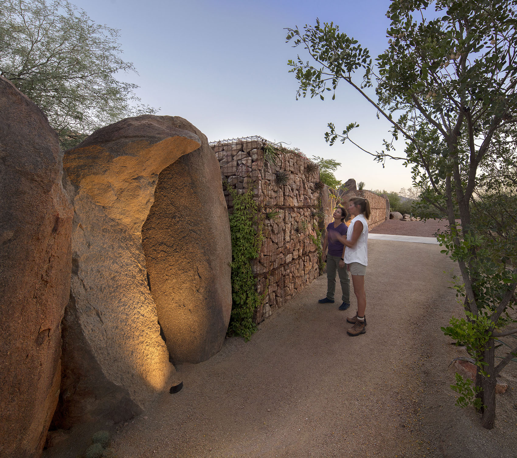 沙漠植物园一期丨美国-67
