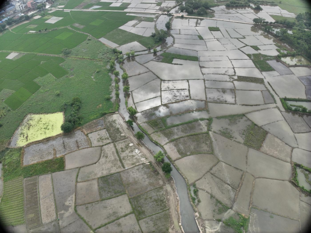 守护漓江碧水绘就生态新篇——勘察设计院助力南溪河、南湾河生态修复项目-13