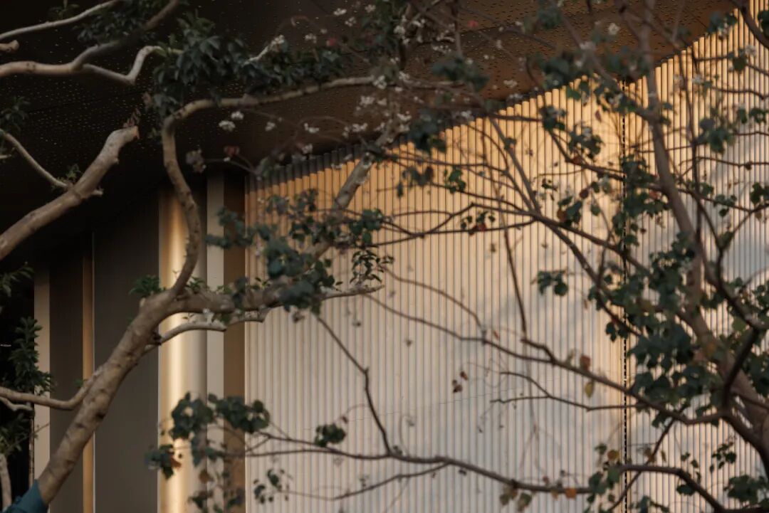 城建水墨江珊丨中国泉州丨致澜景观-11