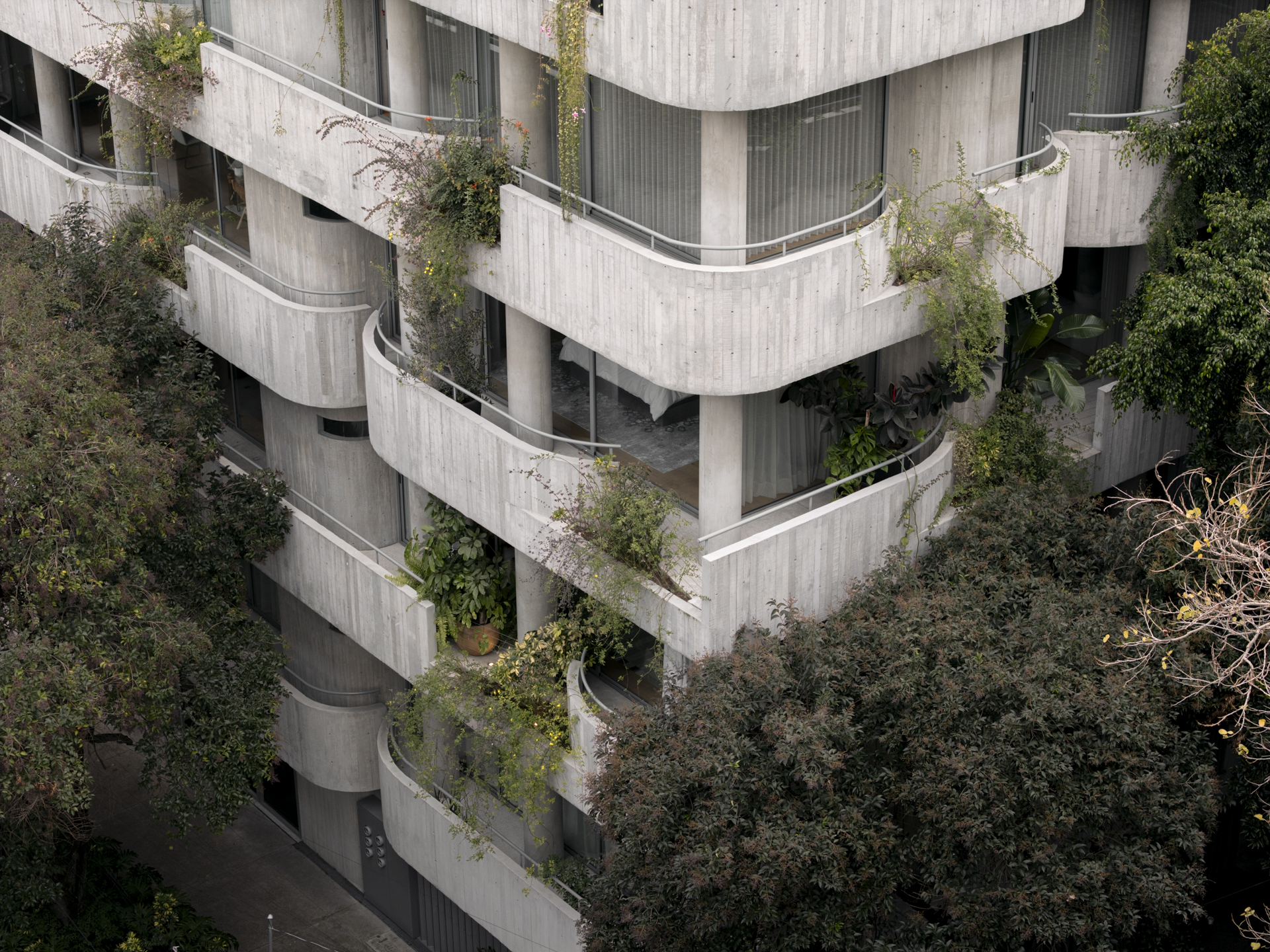 未明确提及丨MICHAN ARCHITECTURE-0