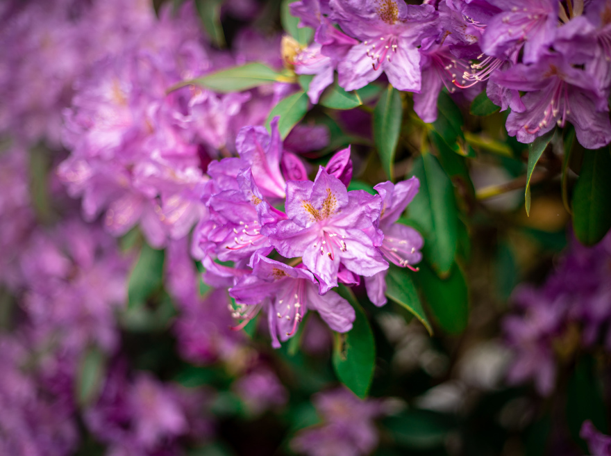 无明确项目名称丨无相关信息-8