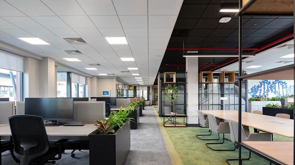 爱尔兰制药公司办公空间-10