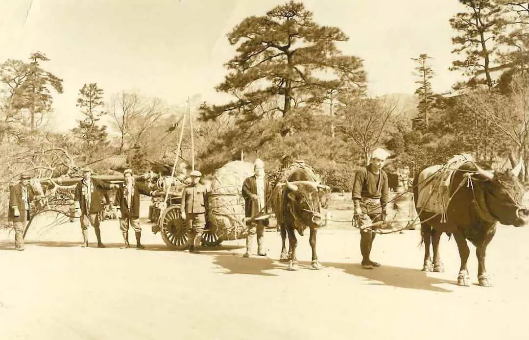 日本造园大师枡野俊明与植藤造园的东方美学-1