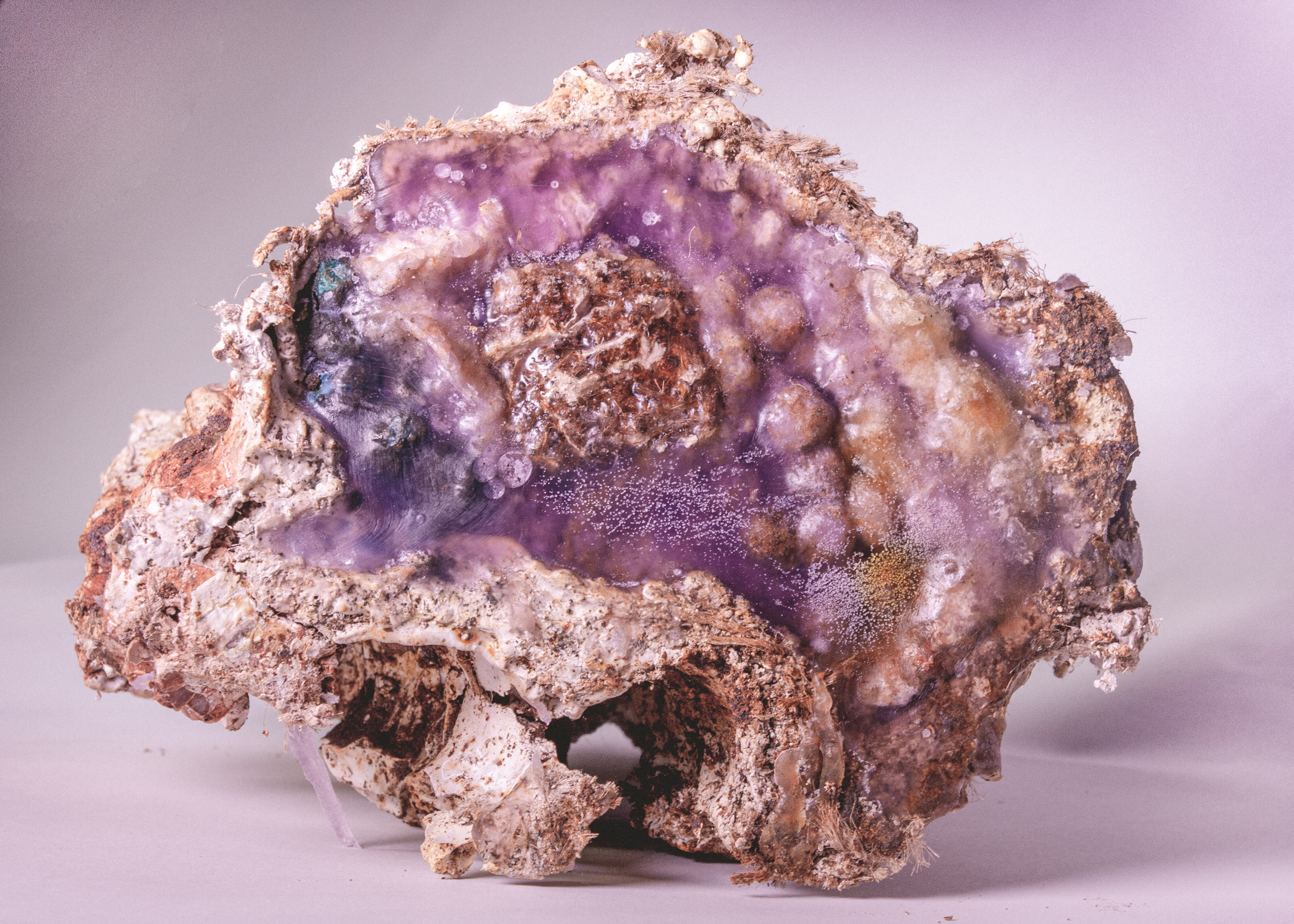 地形，生命形态丨未明确提及-6