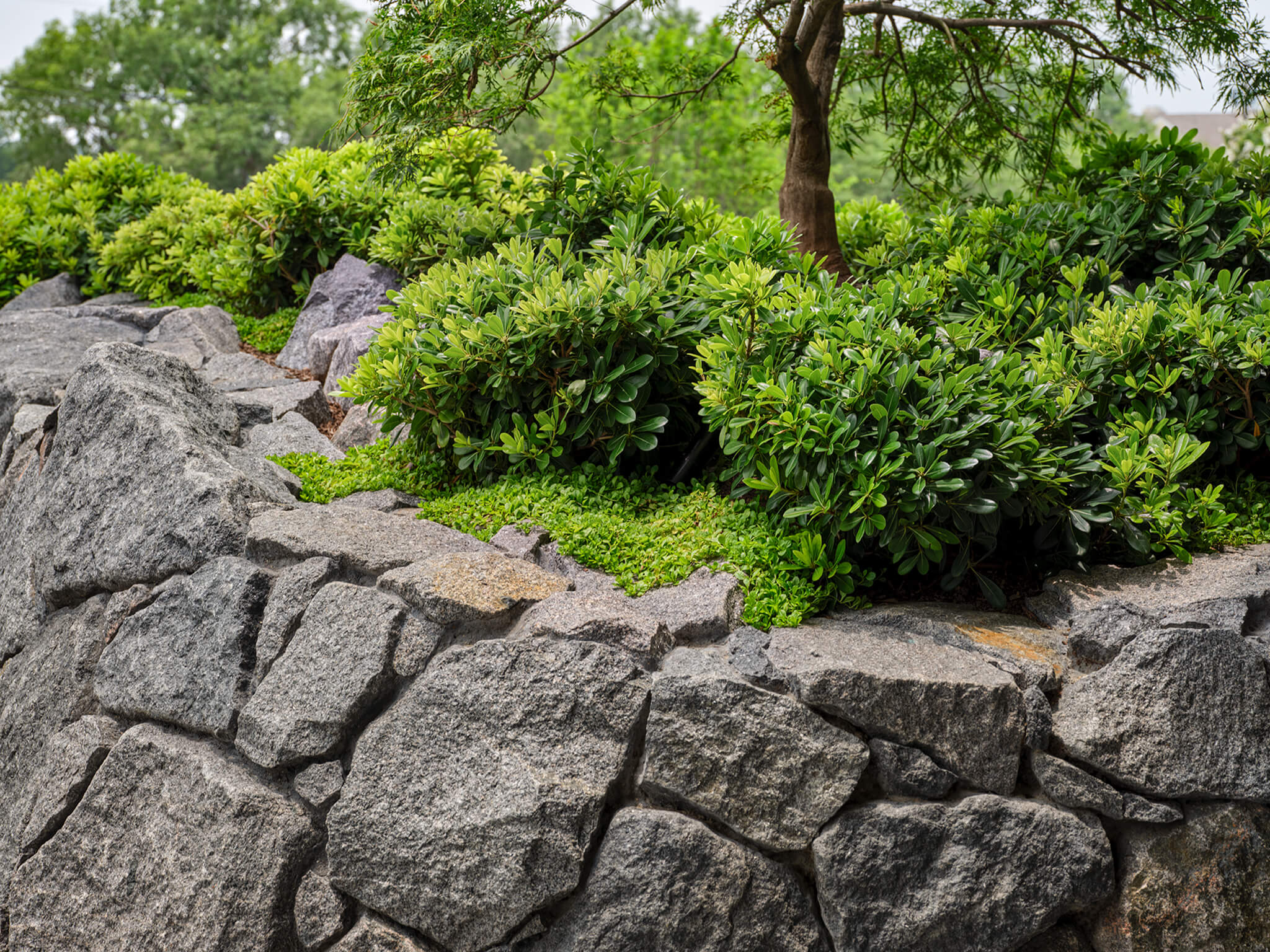 霍克情侣巷（情侣巷）丨美国达拉斯丨Droese Raney（建筑）,Laura Kirar（室内）-19