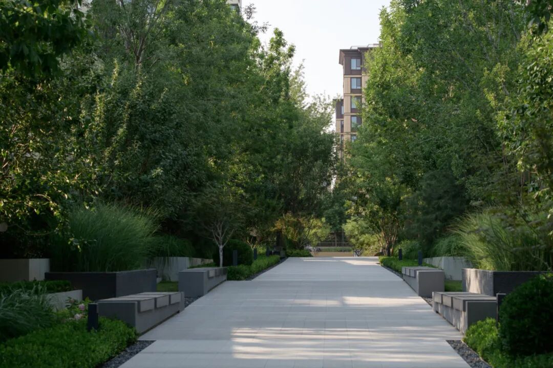 北京中建宸庐-35