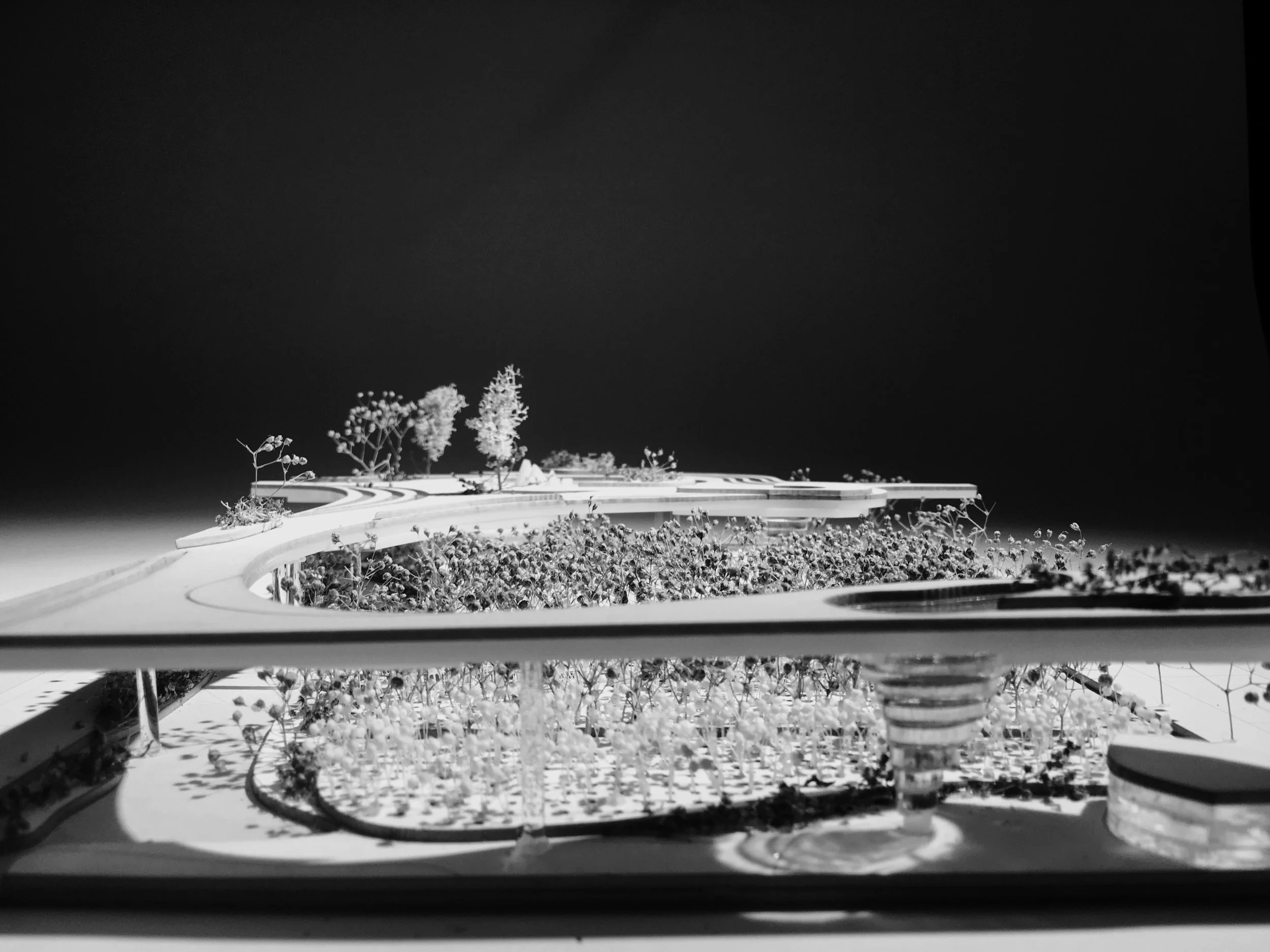 城市树木农场 + 公园丨美国曼哈顿-39