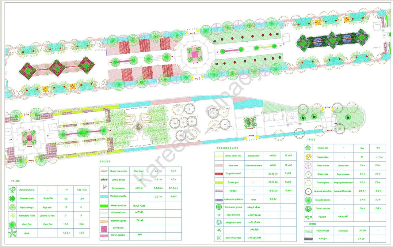 El  Nasr avenue景观及视觉形象改善项目丨埃及-8