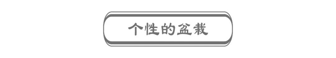 废墟重生，港河村涅槃——设计师的巧思与精雕细琢-55