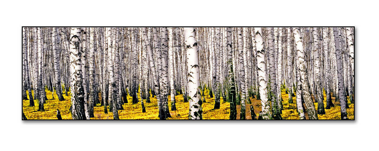 星绘画业-晶瓷画-9