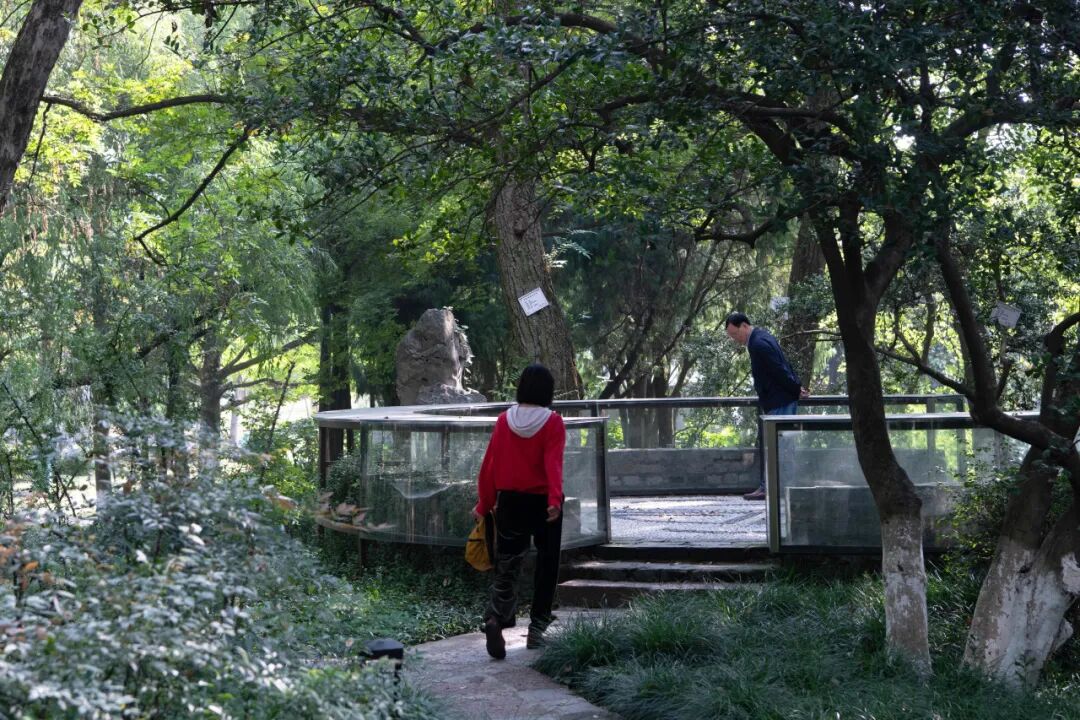 ASLA获奖作品 连接过去和未来的城市绿洲——嘉兴火车站景丨中国嘉兴丨致舍景观-38