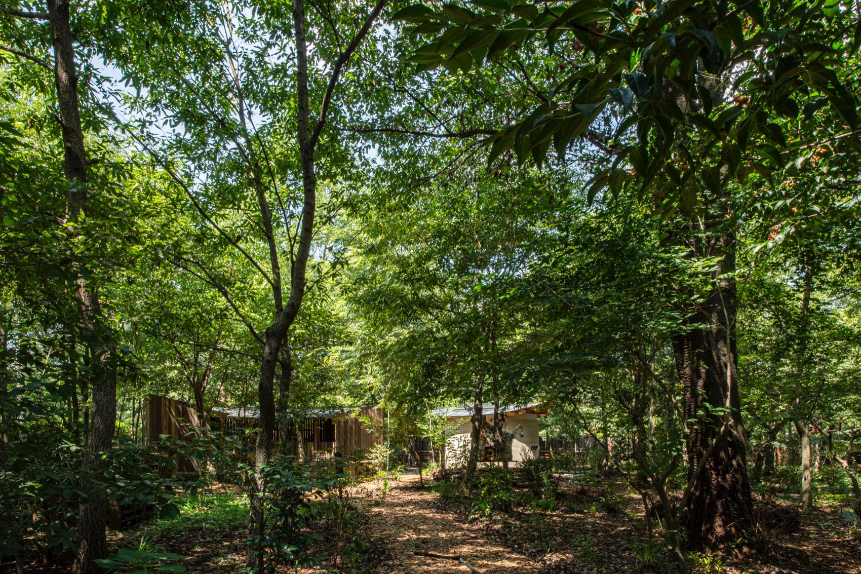 TOILETOWA生态综合体丨日本丨Tono Mirai architects-12