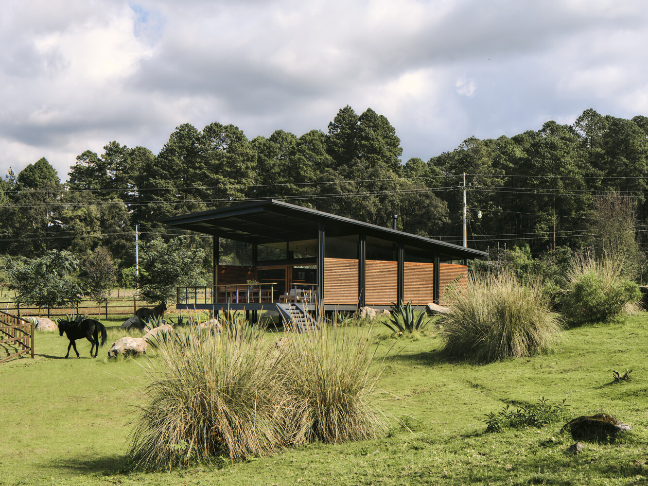 森林小屋丨墨西哥丨Weber Arquitectos-11