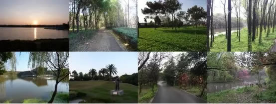 上海市宝山区城市绿色步道-50