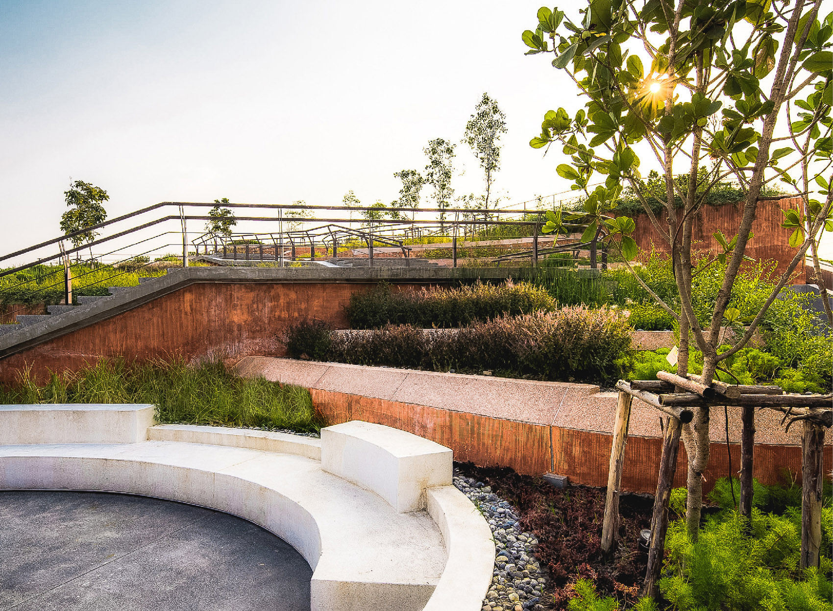 泰国国立法政大学屋顶有机农场-18