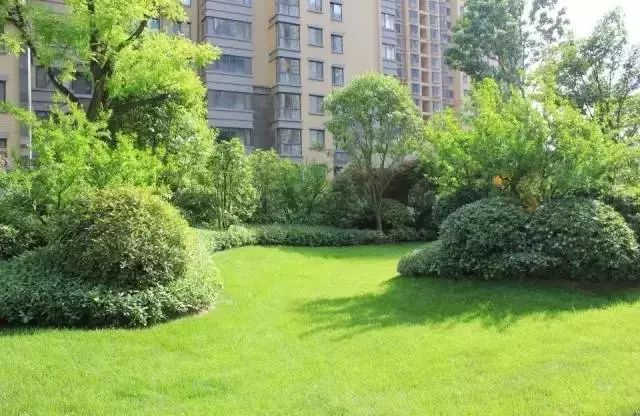 绿化设计中的地被放线手法与植物配置-20