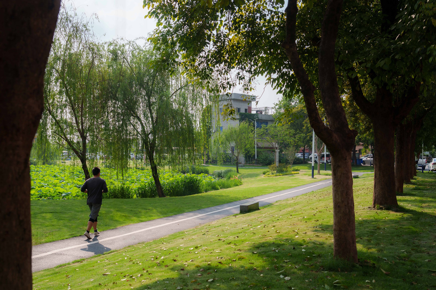 北滘镇“十村示范”北滘社区南塘片区(一期)提升项目丨中国佛山丨广东天元建筑设计有限公司（睿住天元）-29