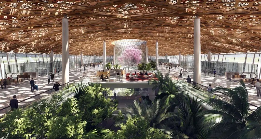 广州白云国际机场 T3 航站楼——自然花园般的出行体验-29