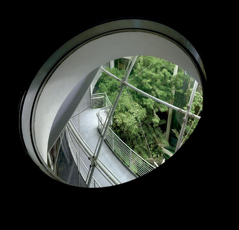 加州科学院新馆 | 绿色环保的设计典范-28