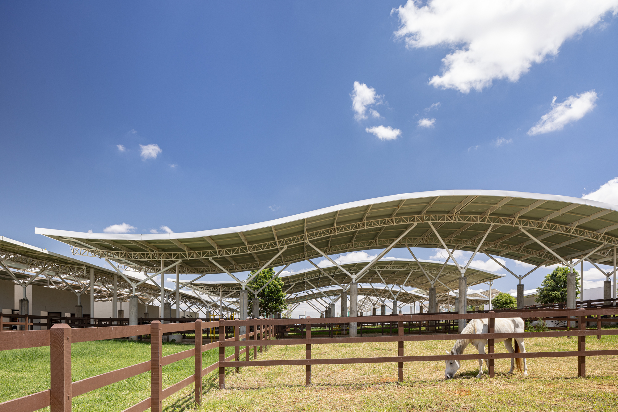 Unileão 兽医学院医院丨巴西丨Lins Arquitetos Associados-46