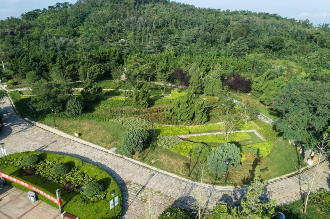 青岛烟墩山公园景观改造-57