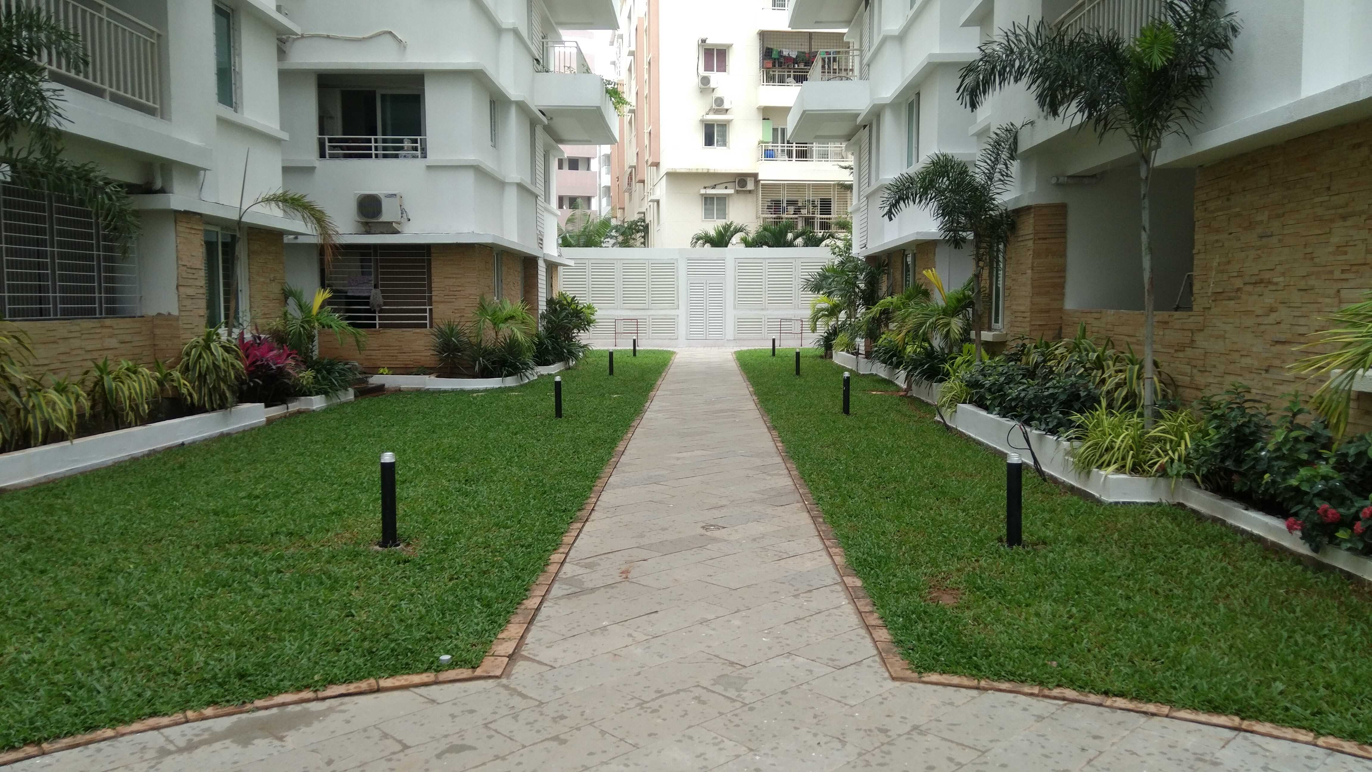 svc treewalk aquaria-7