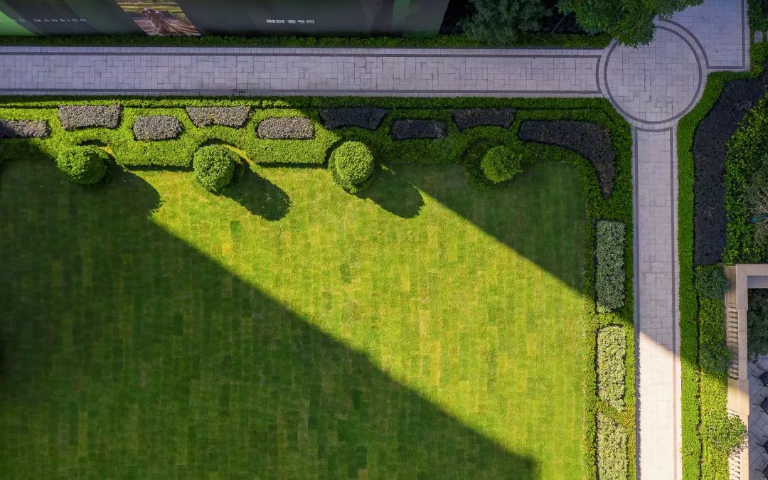 这是一次或将改变你生活的推荐！-32