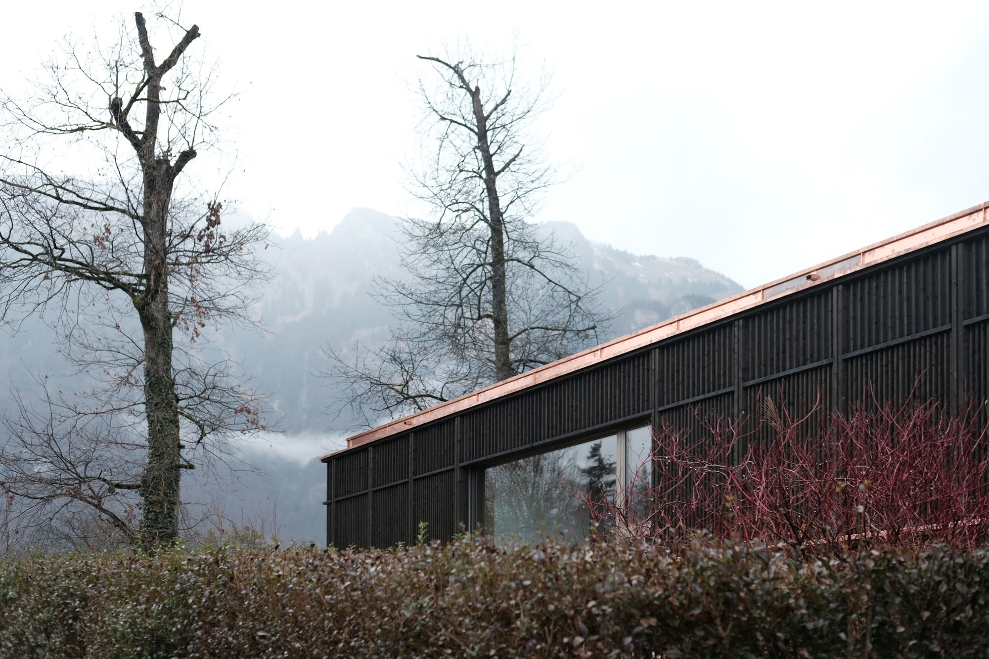 带有三个花园的房子丨Allen + Crippa-32