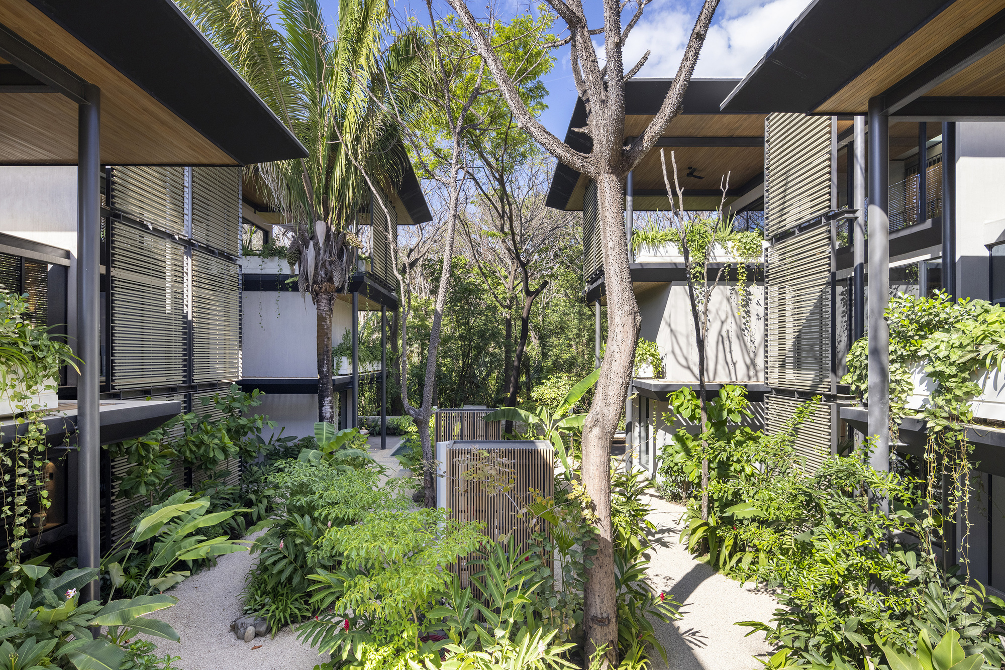 奎因冲浪公寓丨哥斯达黎加丨Studio Saxe-35