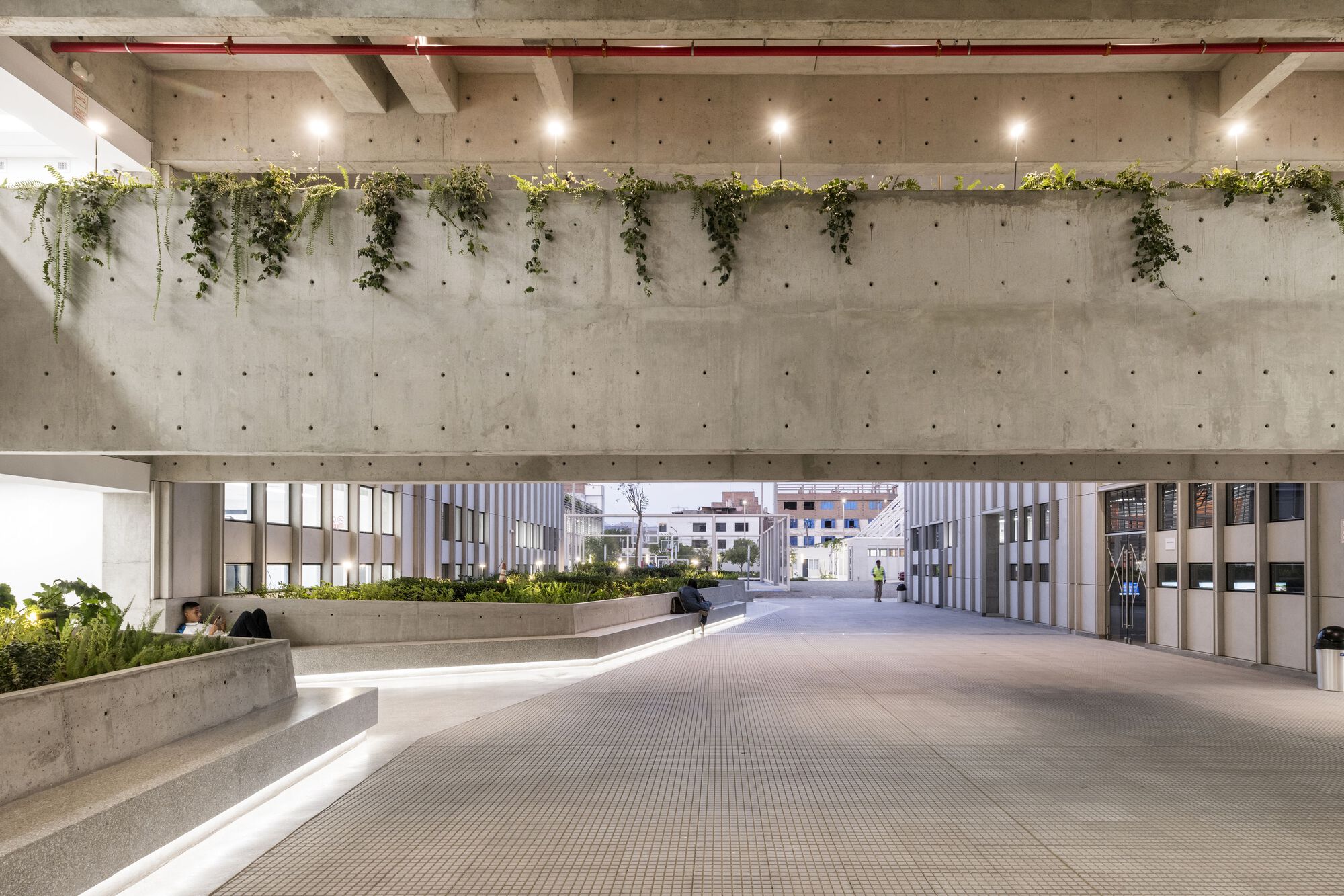 Científica del Sur University Campus  / Plan A-33