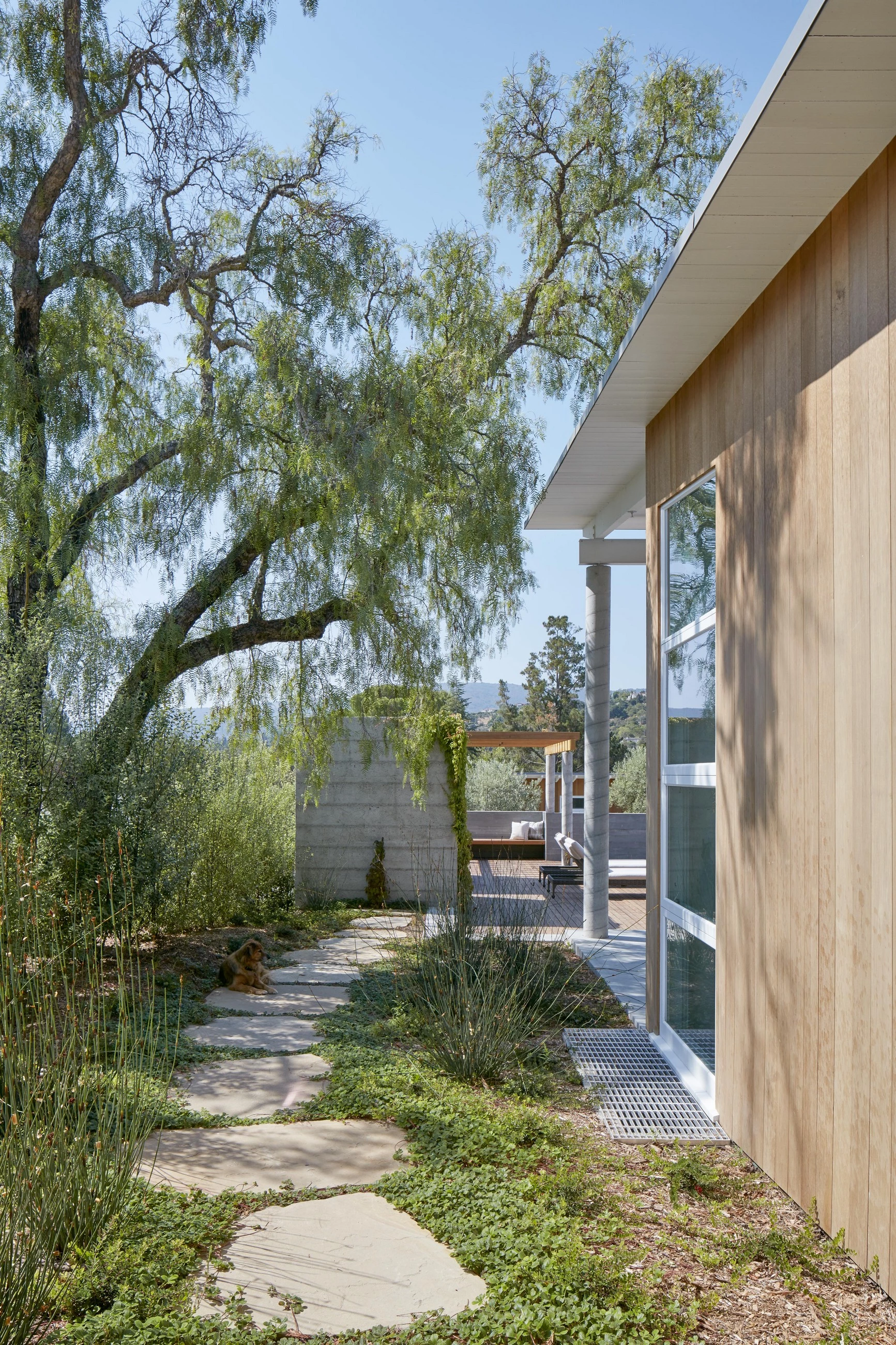 硅谷百年橡树林住宅-16