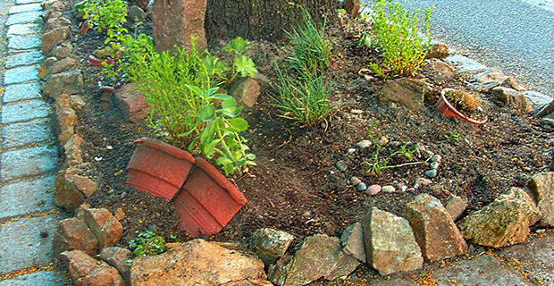 弗赖堡城市菜园生态改造项目丨德国弗赖堡-17